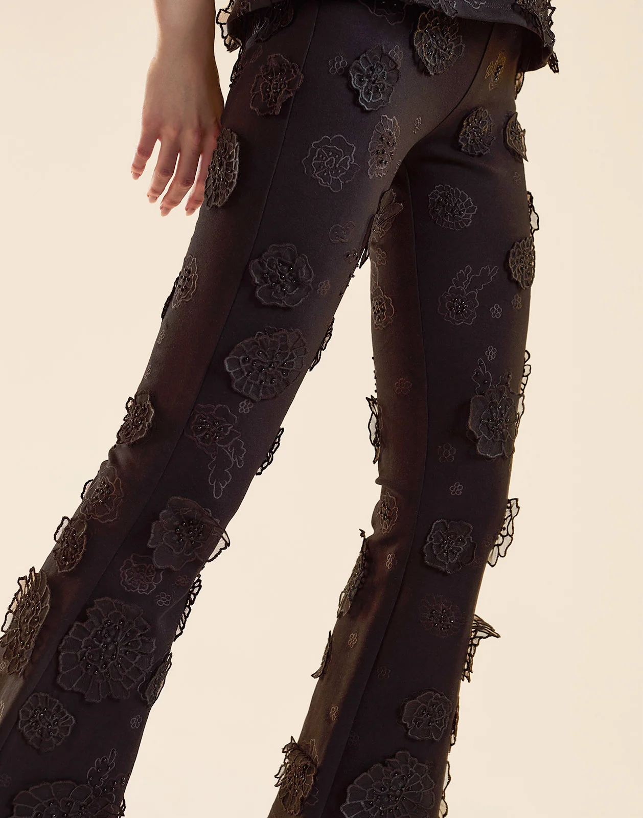 Embroidered Floral Applique Pant - Image 5